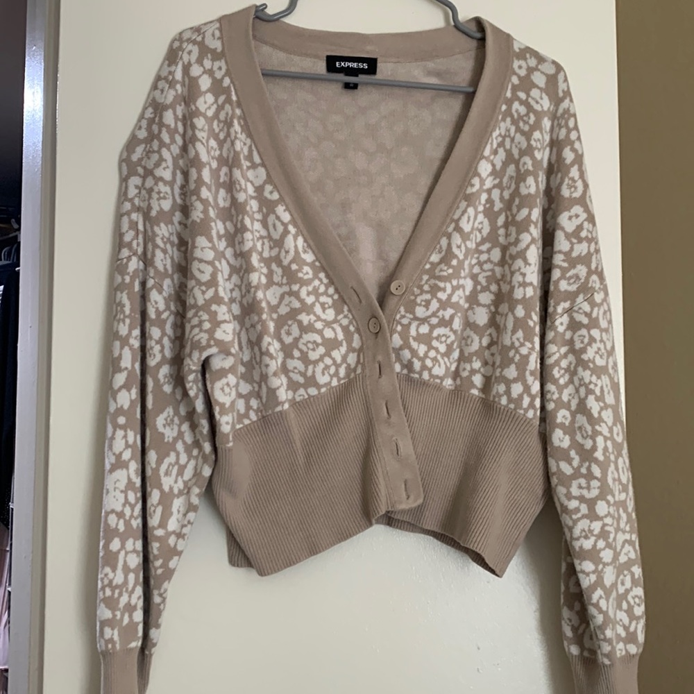 Express Sweater